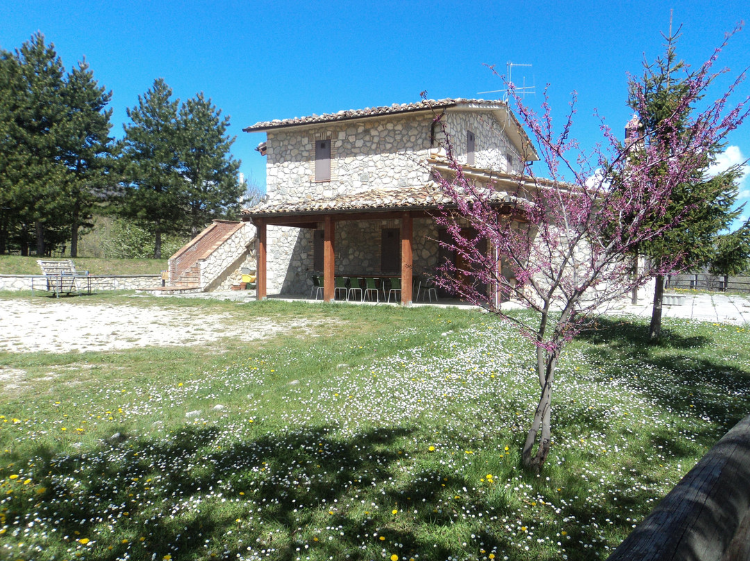 Agriturismo Collescarpone