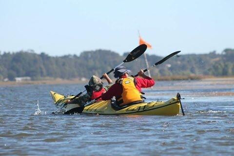 Budi Expediciones-Puerto Saavedra必去景点