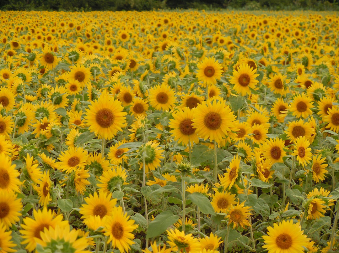 Aobako Communication Center-八户市必去景点