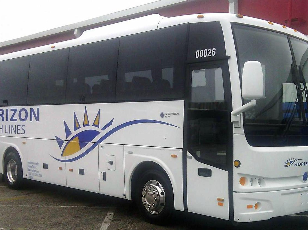 旧金山格雷线观光巴士-旧金山必去景点