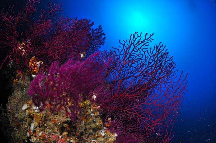 Divesicily-Giardini Naxos必去景点