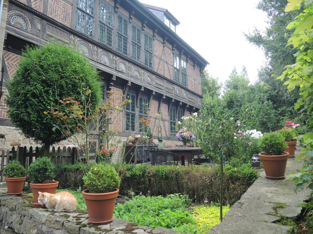 Burg Schaumburg景点图片