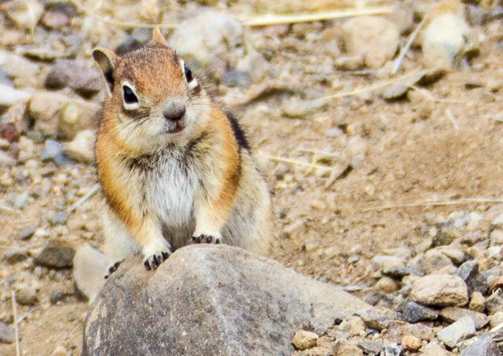 Summitville Ghost Town-Del Norte必去景点