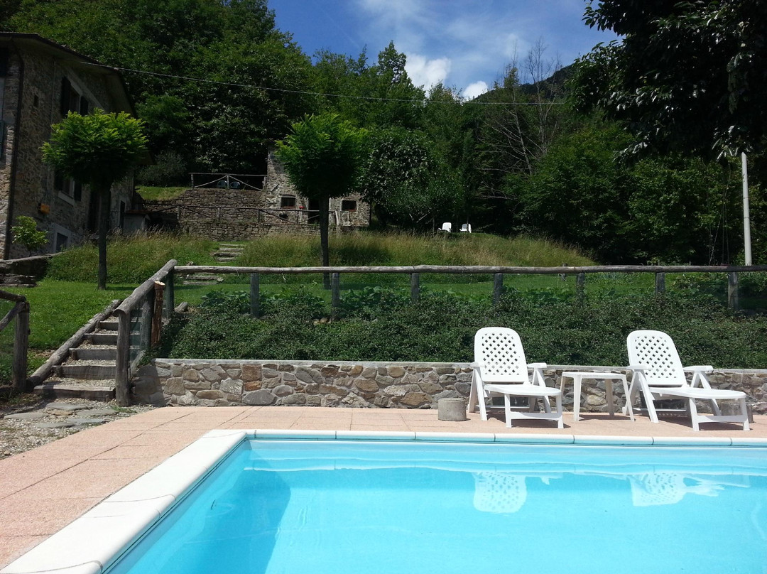 Grifoglia