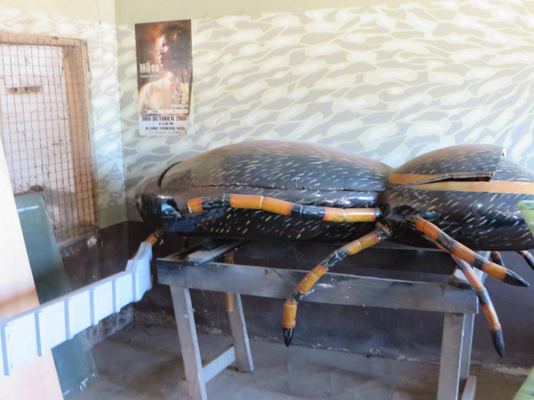 Kane Kwei Carpentry Workshop-Teshie必去景点