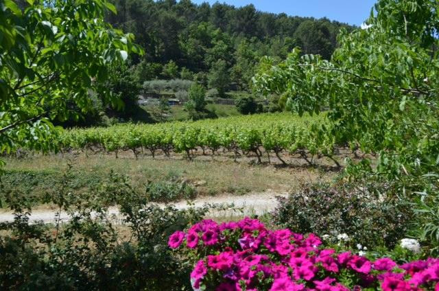 Azur Wine Tours景点图片