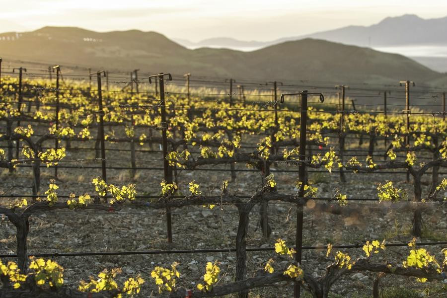 Domaine Zacharioudakis-Plouti必去景点