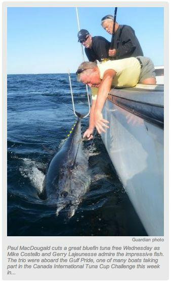 Two Guys Tuna Charters-North Lake必去景点