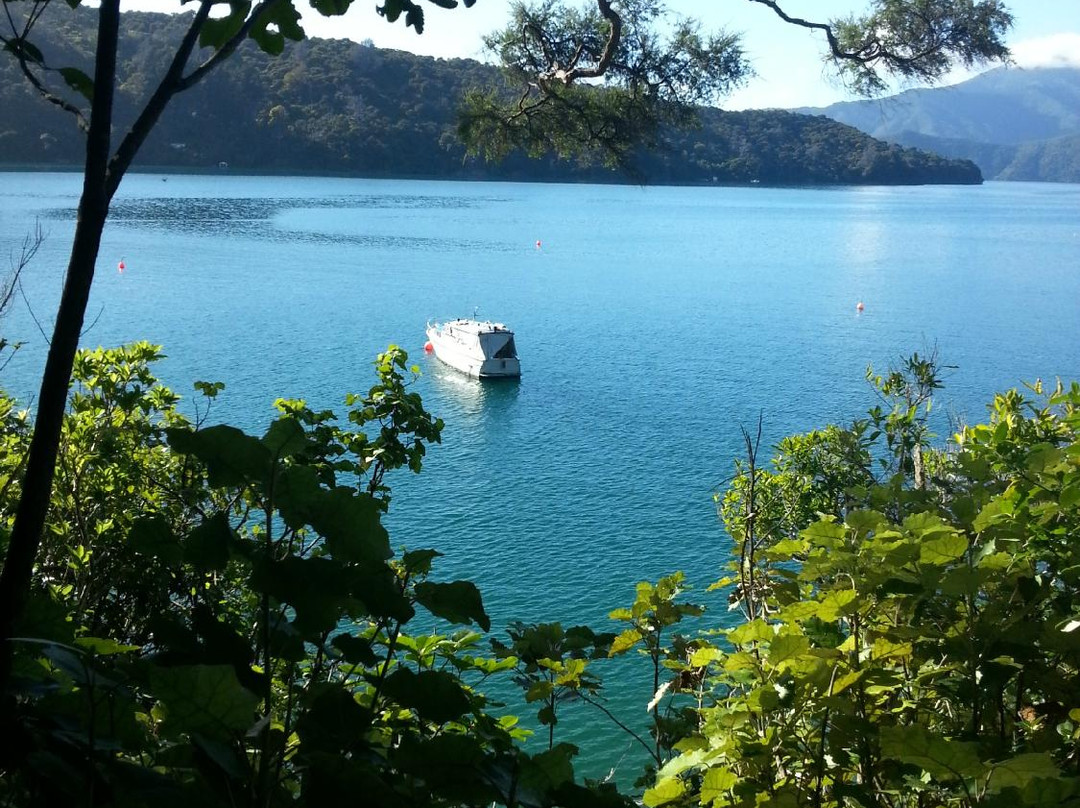 Lochmara  Marlborough Sounds景点图片