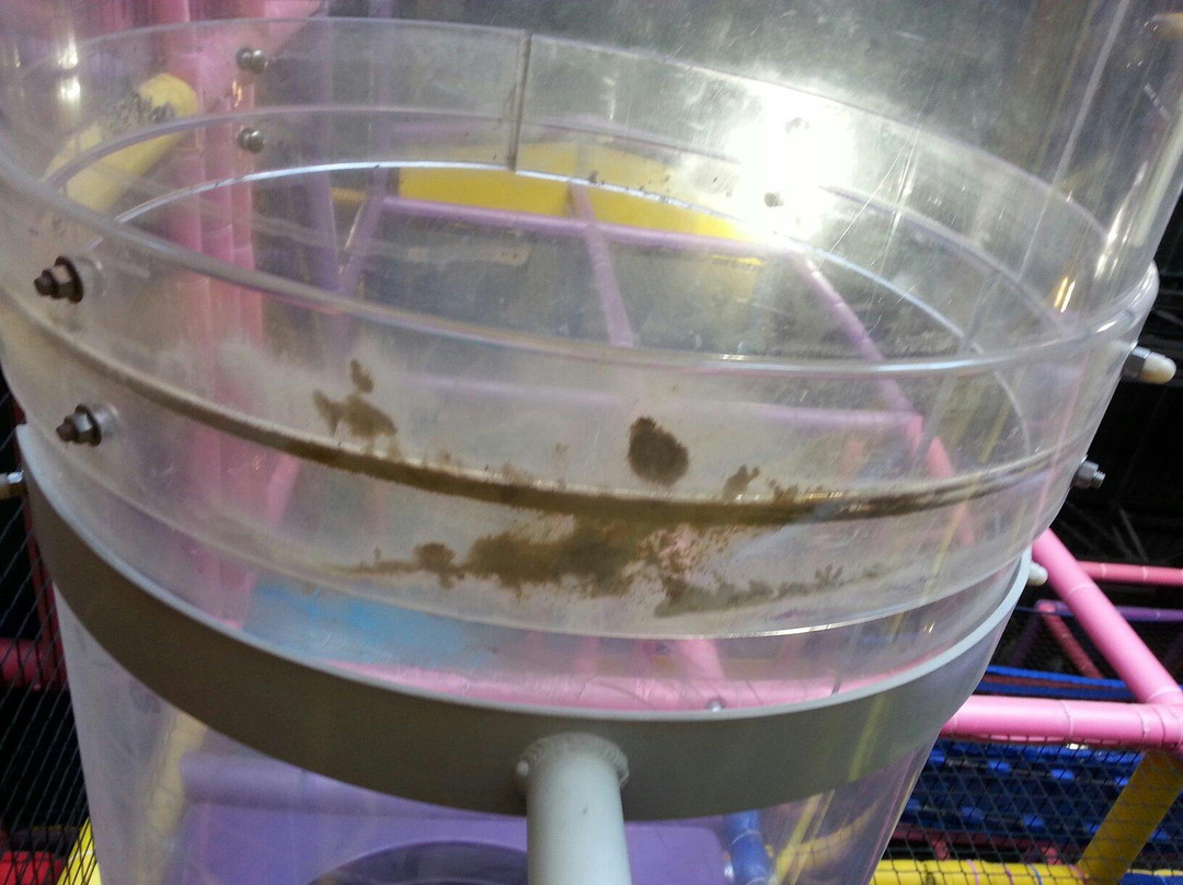 Odyssey Fun World-廷利公园必去景点