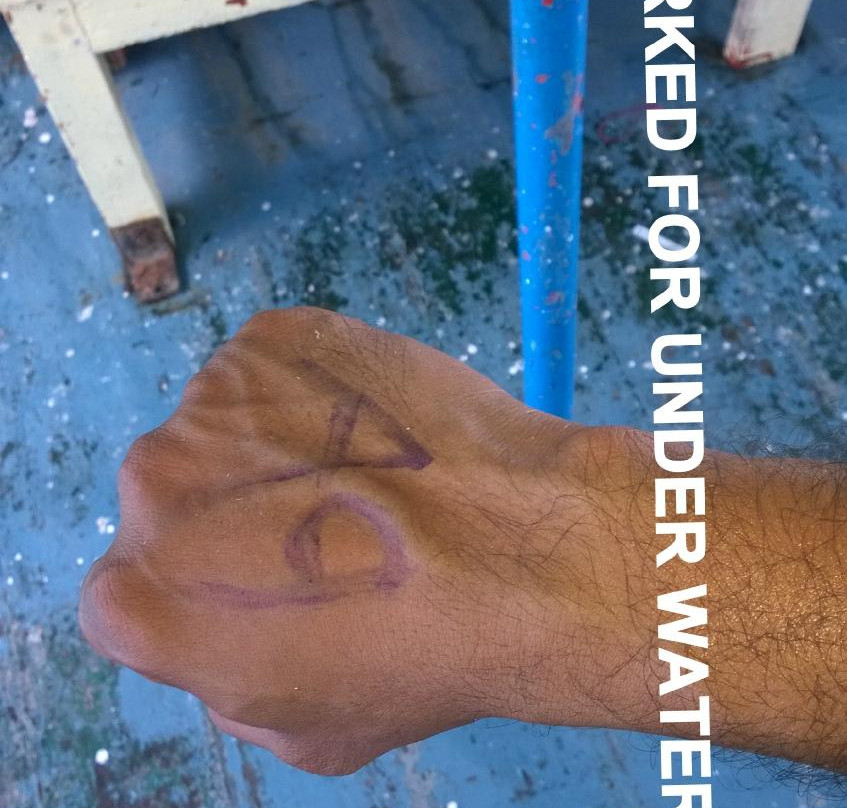 Sea Link Adventures-布莱尔港必去景点