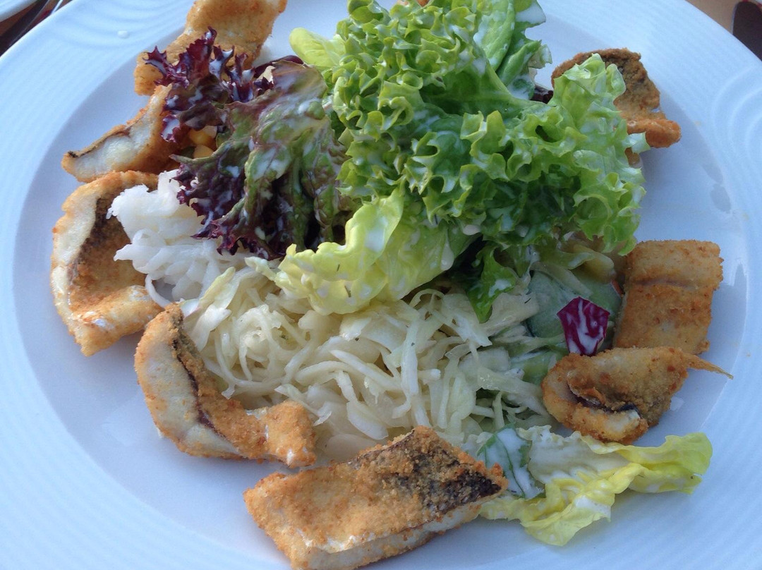 Langenargen餐馆和美食-Hotel Restaurant Schwedi