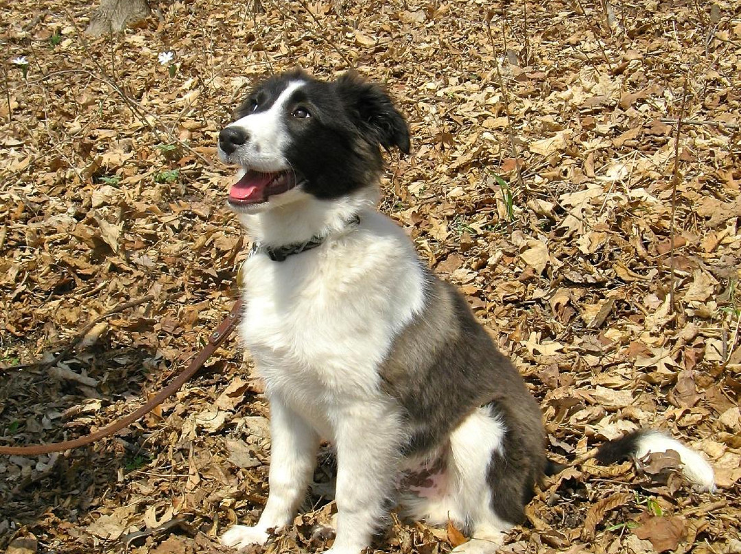 Fish Lake Regional Park-Maple Grove必去景点