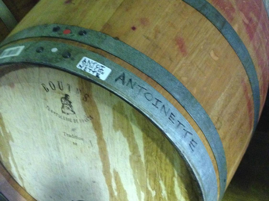 Winemakers Way-斯泰伦博斯必去景点