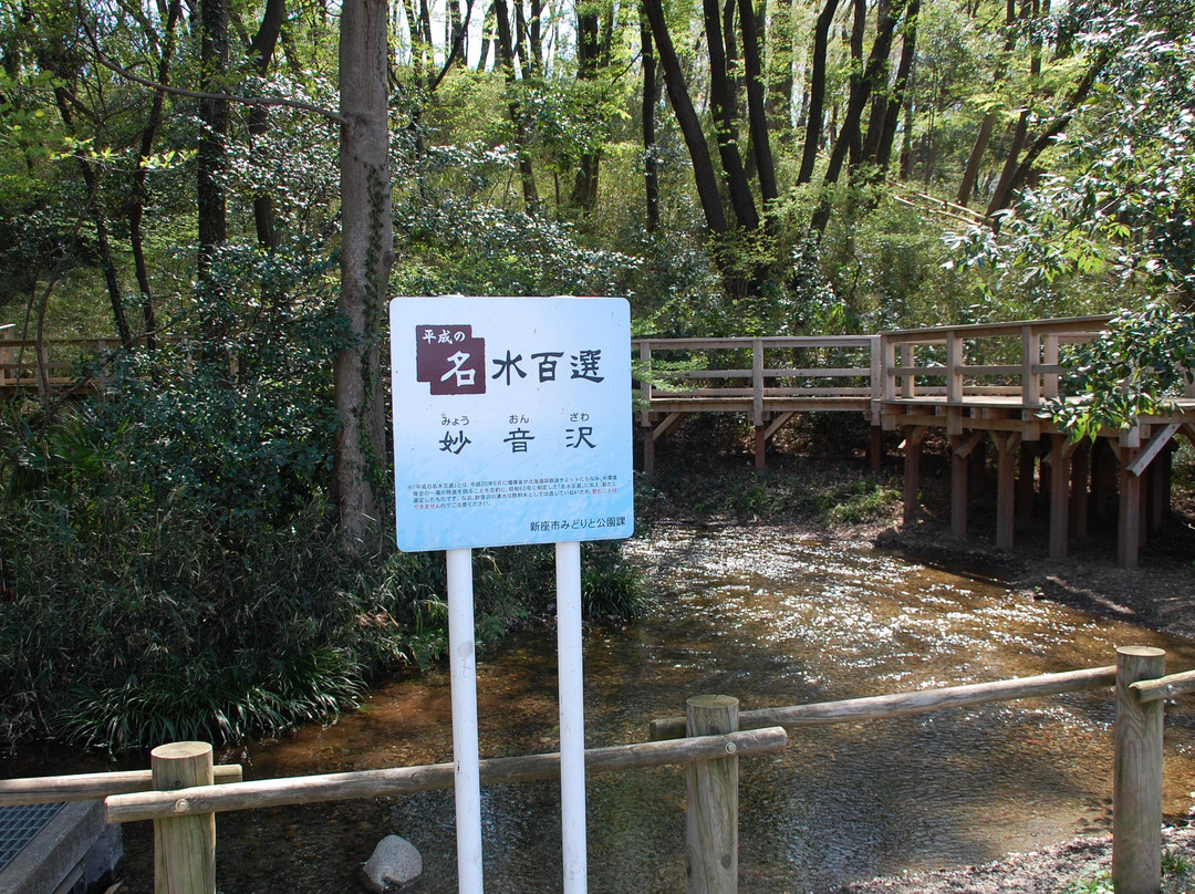 Myoonsawa Special Green Conservation Area-新座市必去景点
