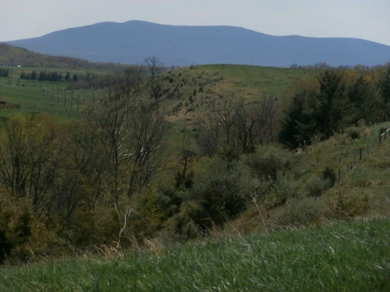 Star B Stables-斯汤顿必去景点