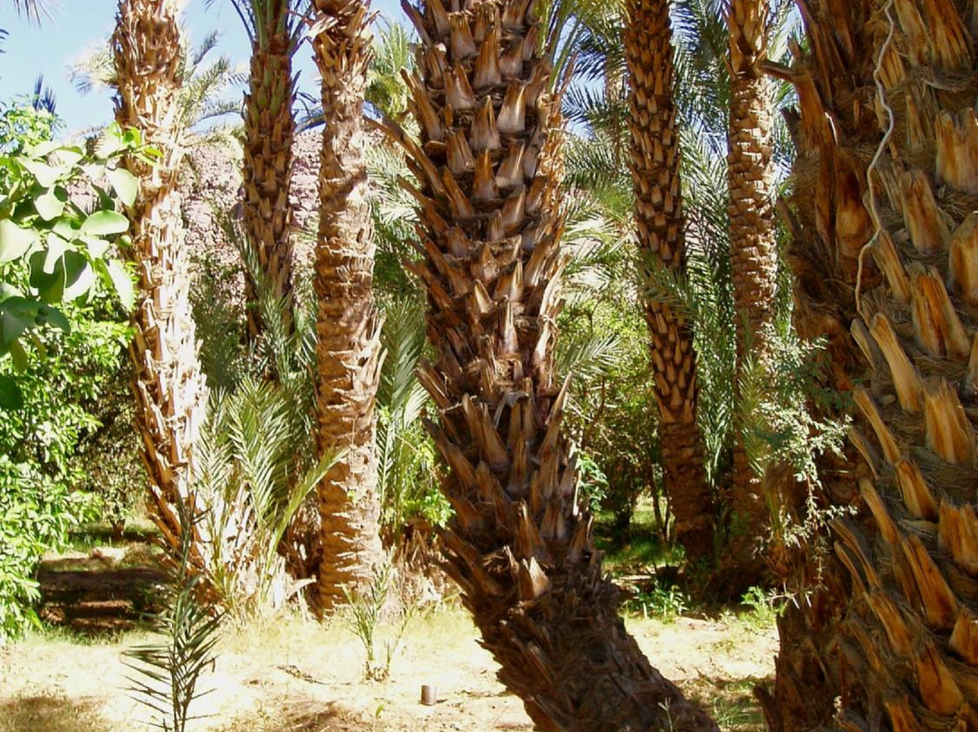 Agadez Region旅游攻略图片