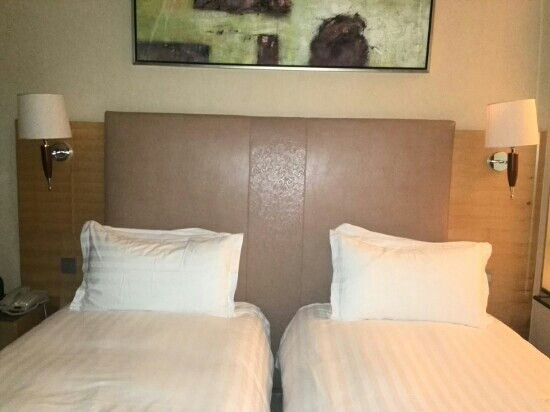 富豪金丰酒店主图