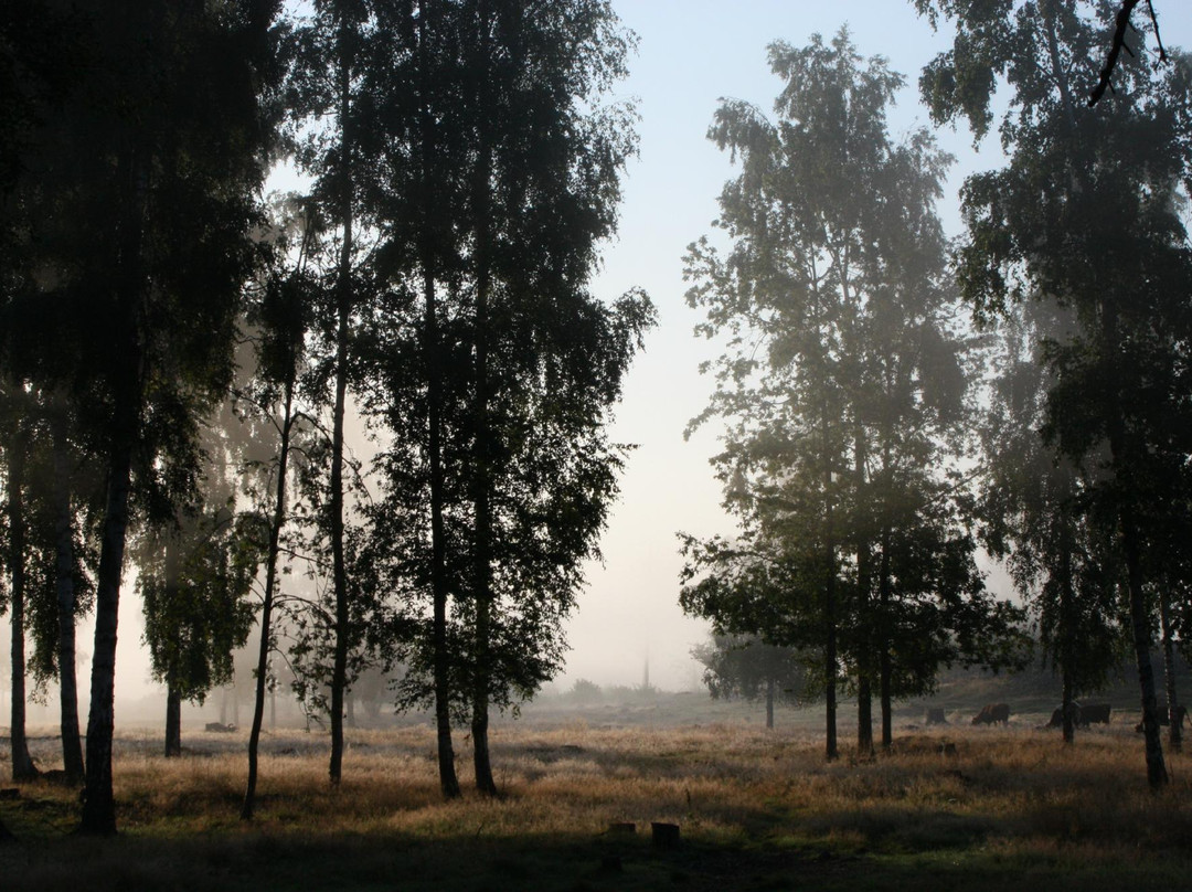 Spa Oland Skedemosse Gard主图