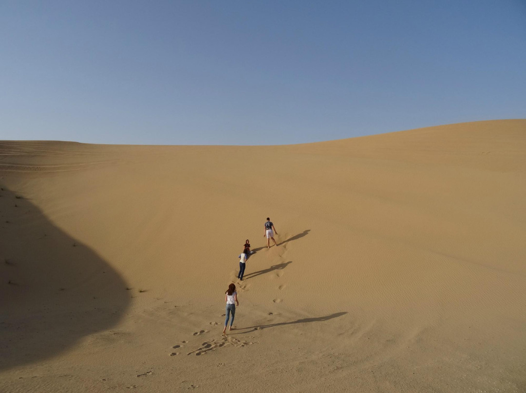 阿联酋狩猎营地-阿布扎比必去景点