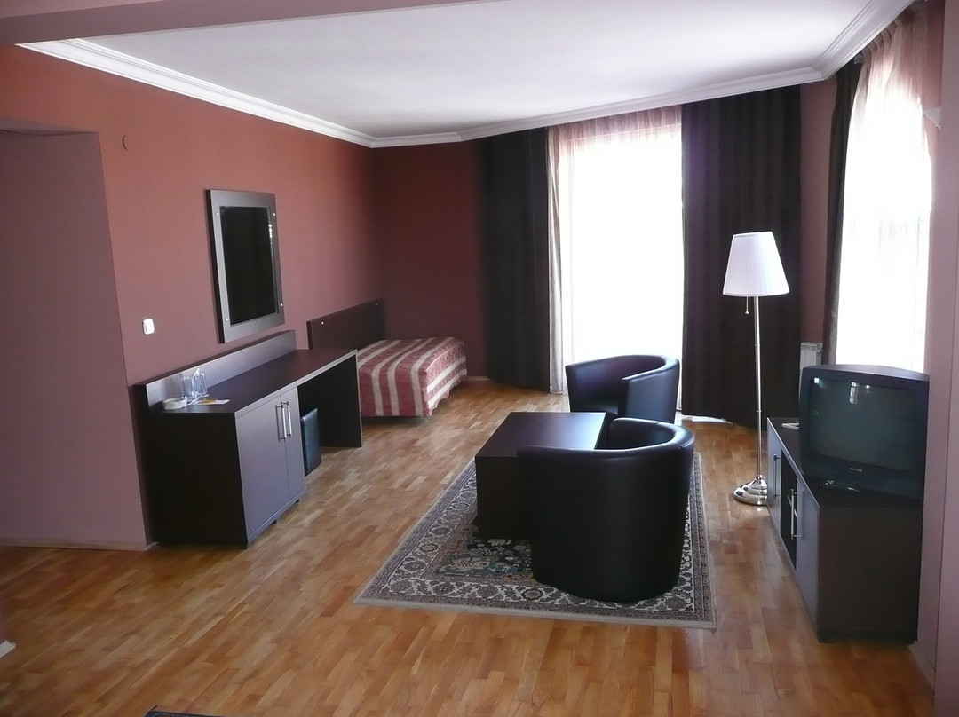 Airport Hotel Consul主图