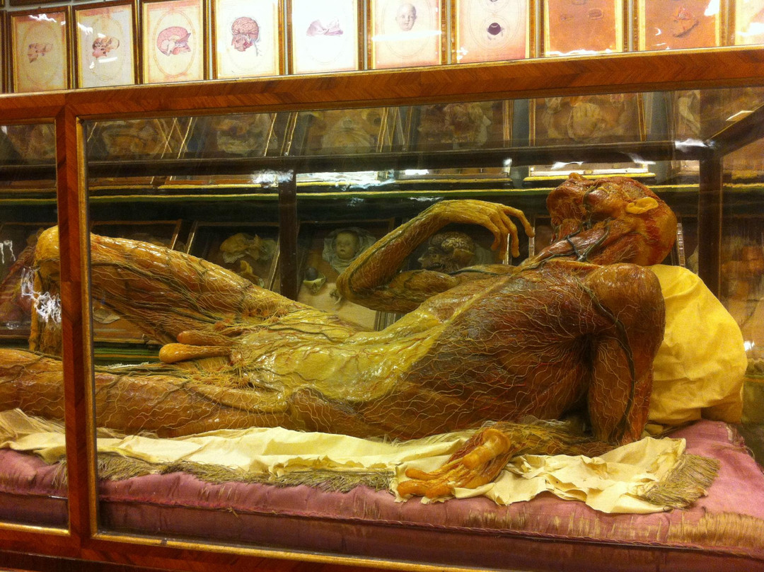 Museo di Storia Naturale - La Specola-佛罗伦萨必去景点