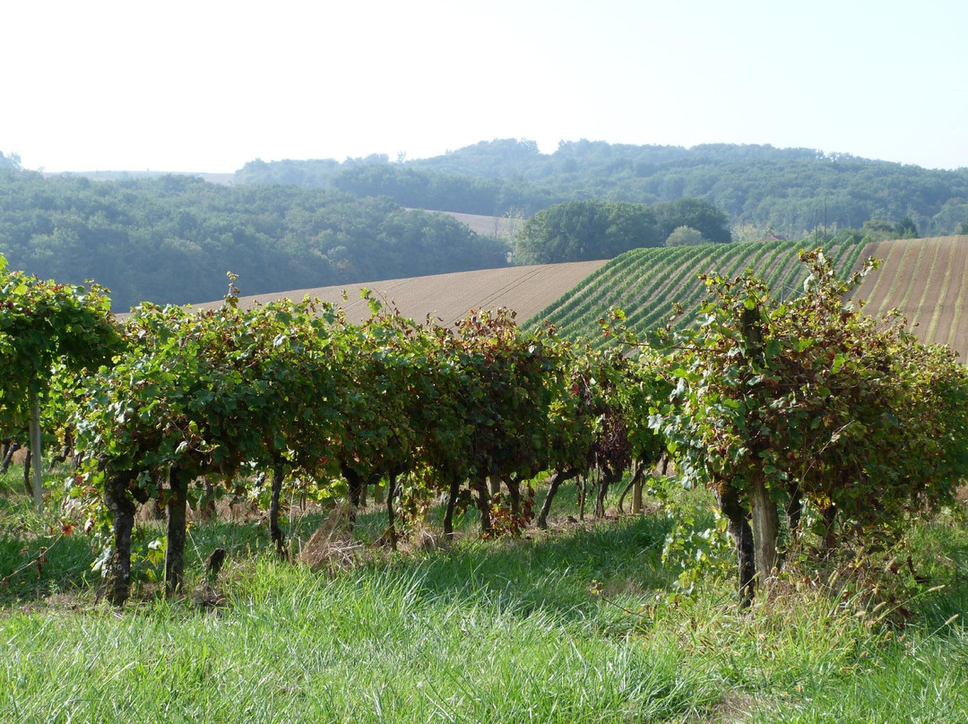 Domaine du Bilé景点图片