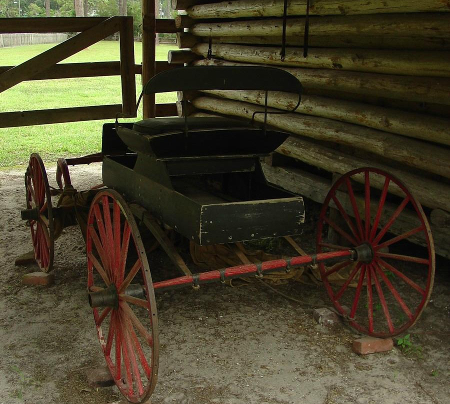 Forest Capital Musem-Perry必去景点