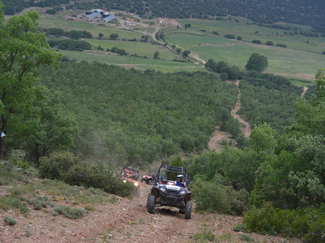 Buggyexperience-Olost必去景点