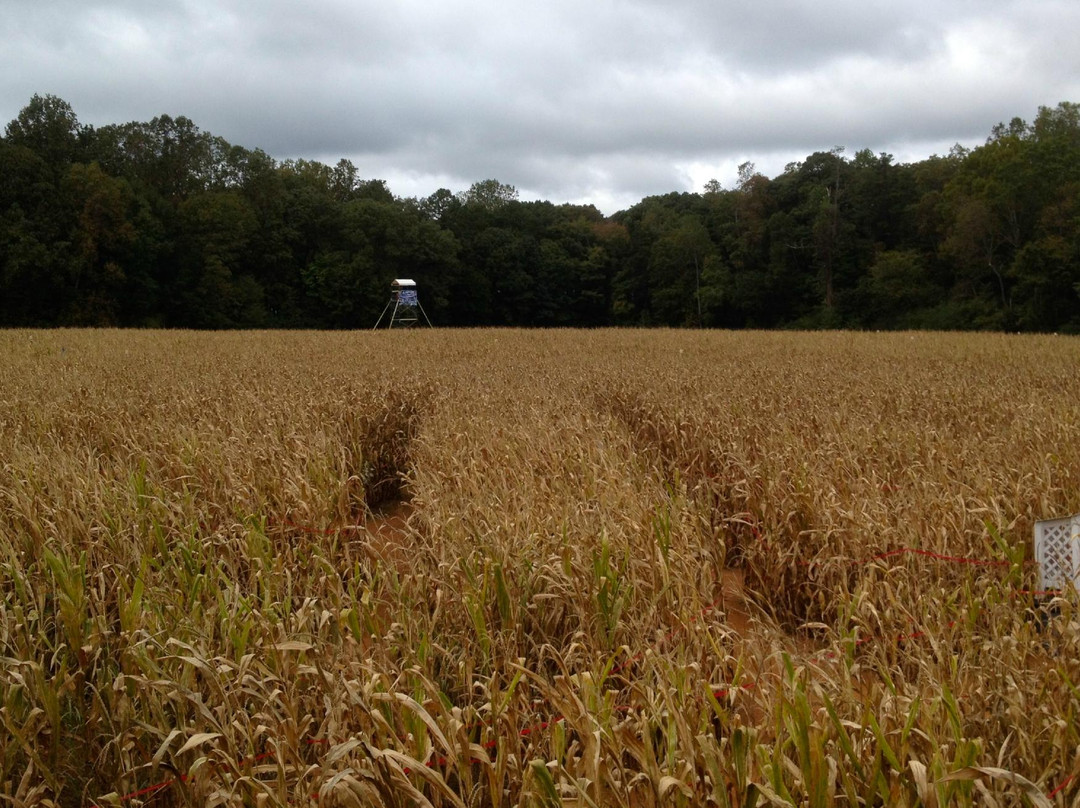 Historic Rural Hill Farm-亨特斯维尔必去景点