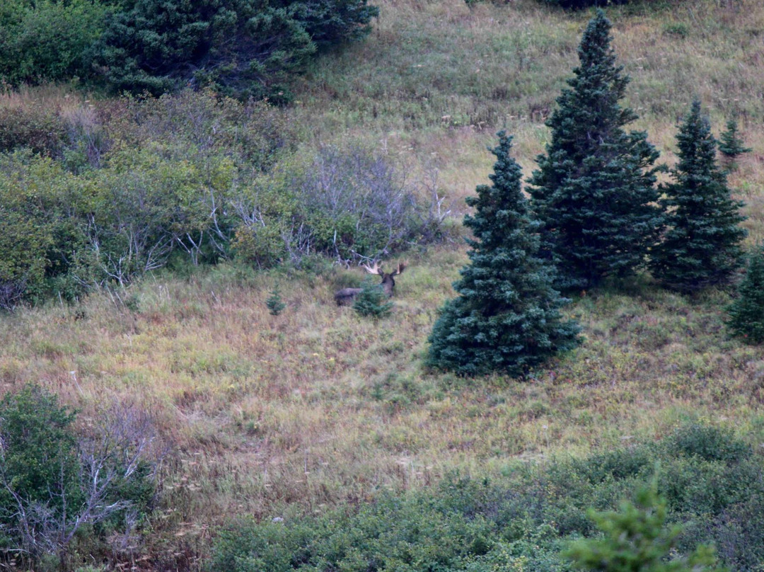 平顶山徒步道-安克雷奇必去景点