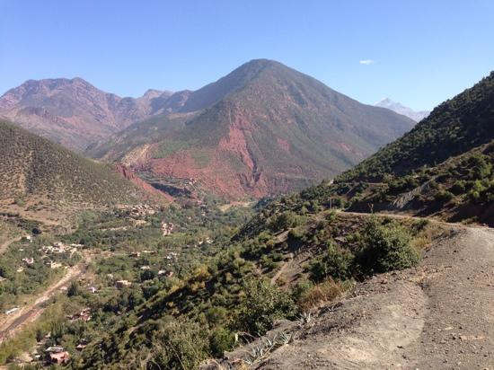 4X4骆驼——私人一日游-马拉喀什必去景点