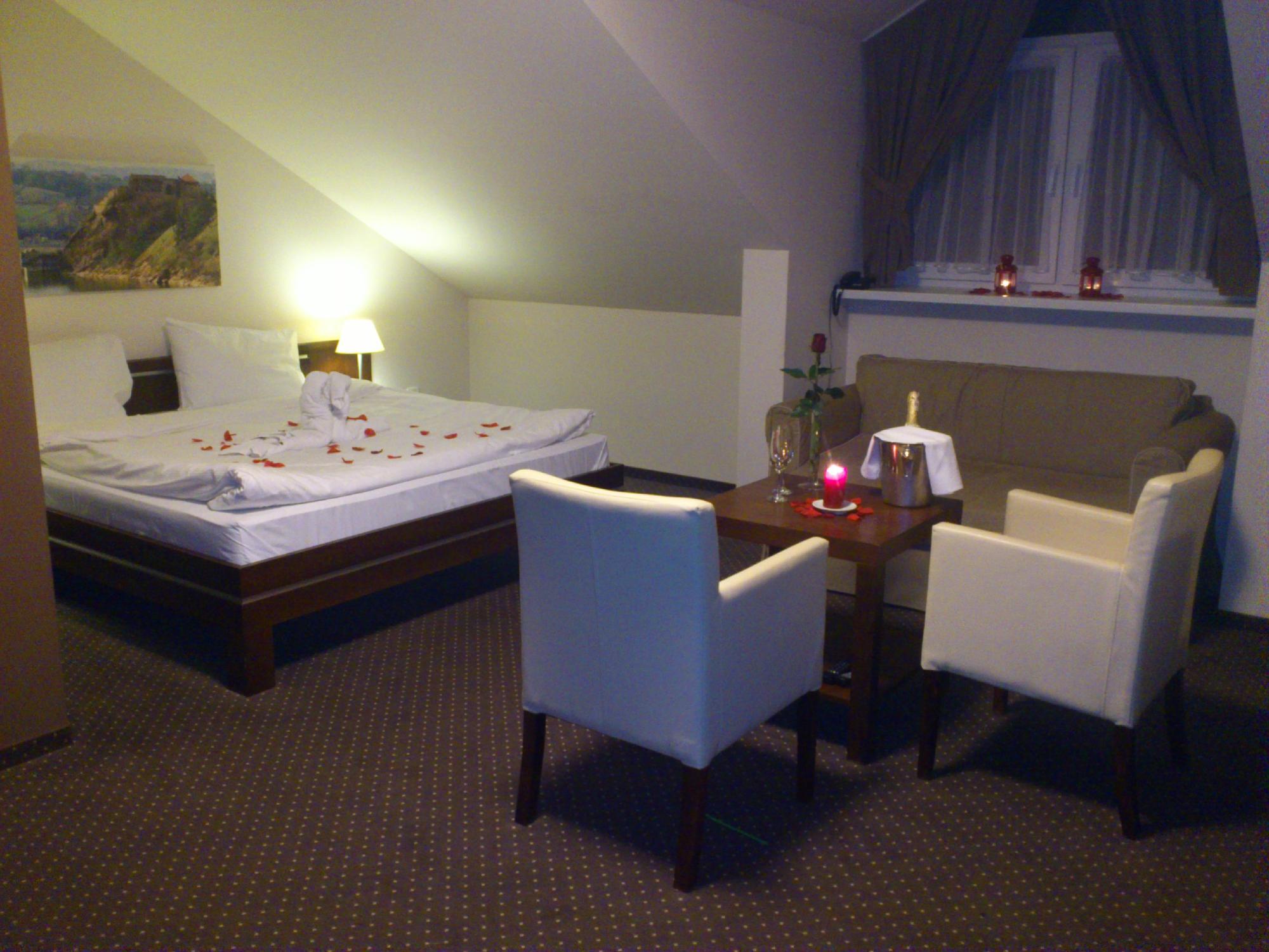 Hotel Podzamcze-客卧