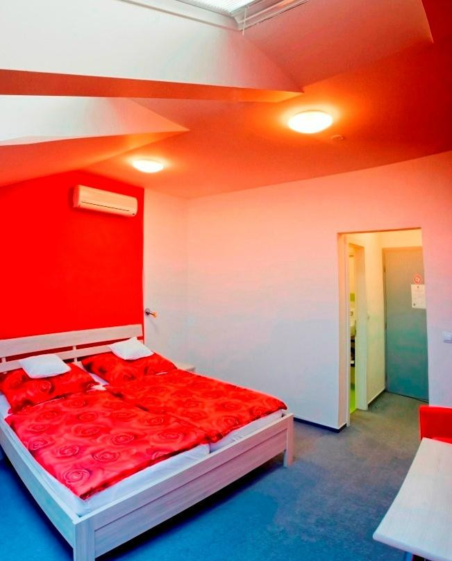 Vojkovice酒店住宿-Penzion Lion