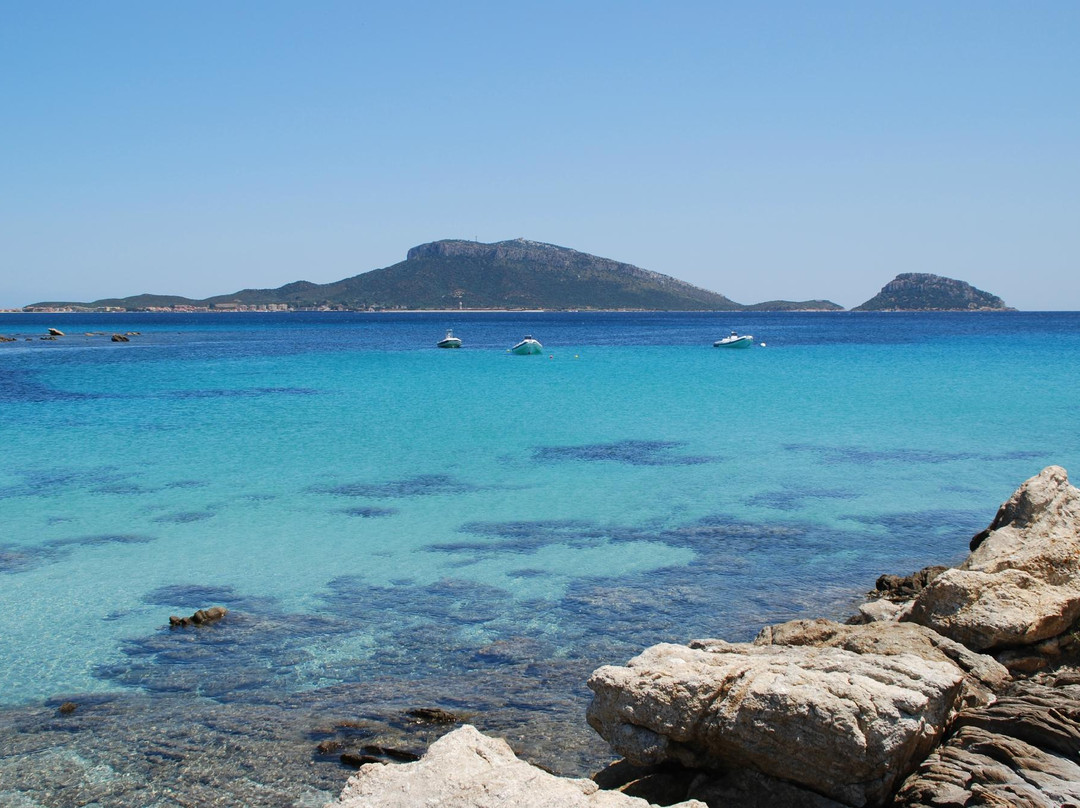 Cala Sos Aranzos
