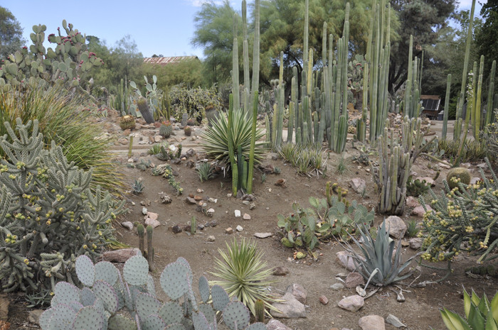 Fresno Discovery Center-弗雷斯诺必去景点