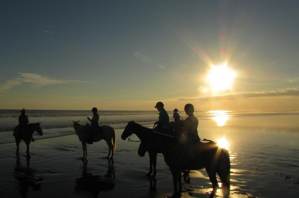 Barking Horse Farm景点图片