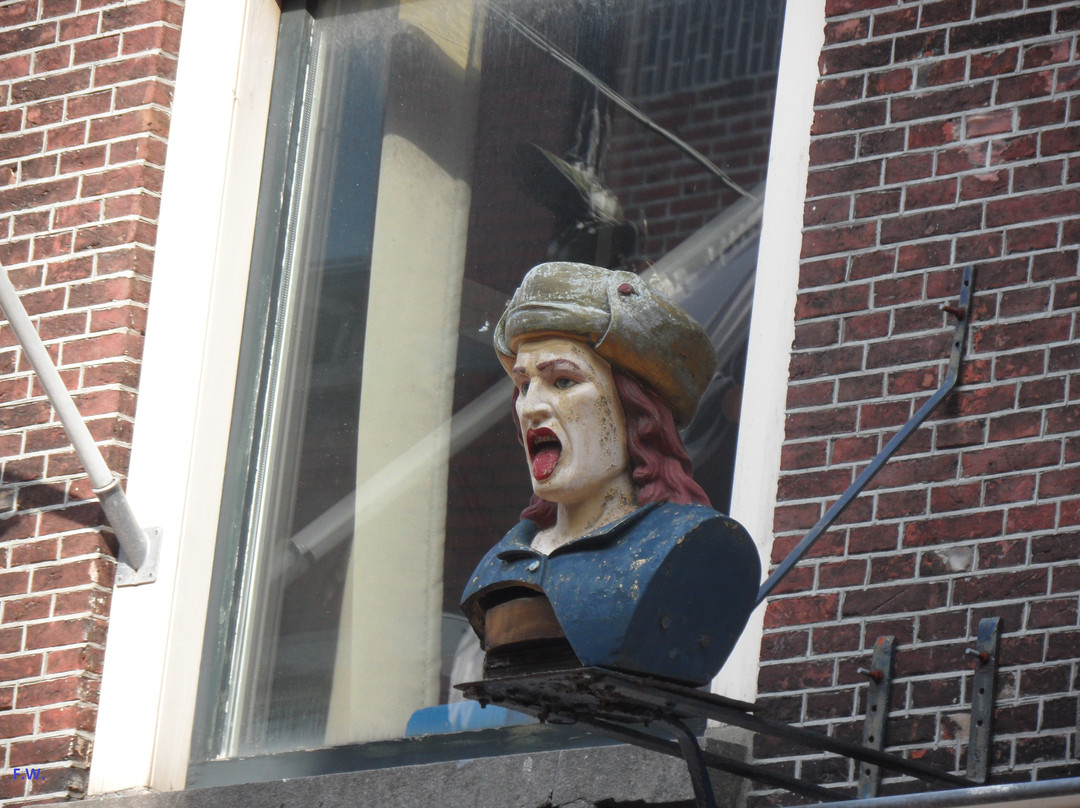 The Leiden Loop - City Walk景点图片