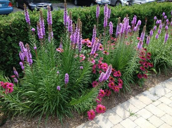 Banting House National Historic Site-伦敦必去景点