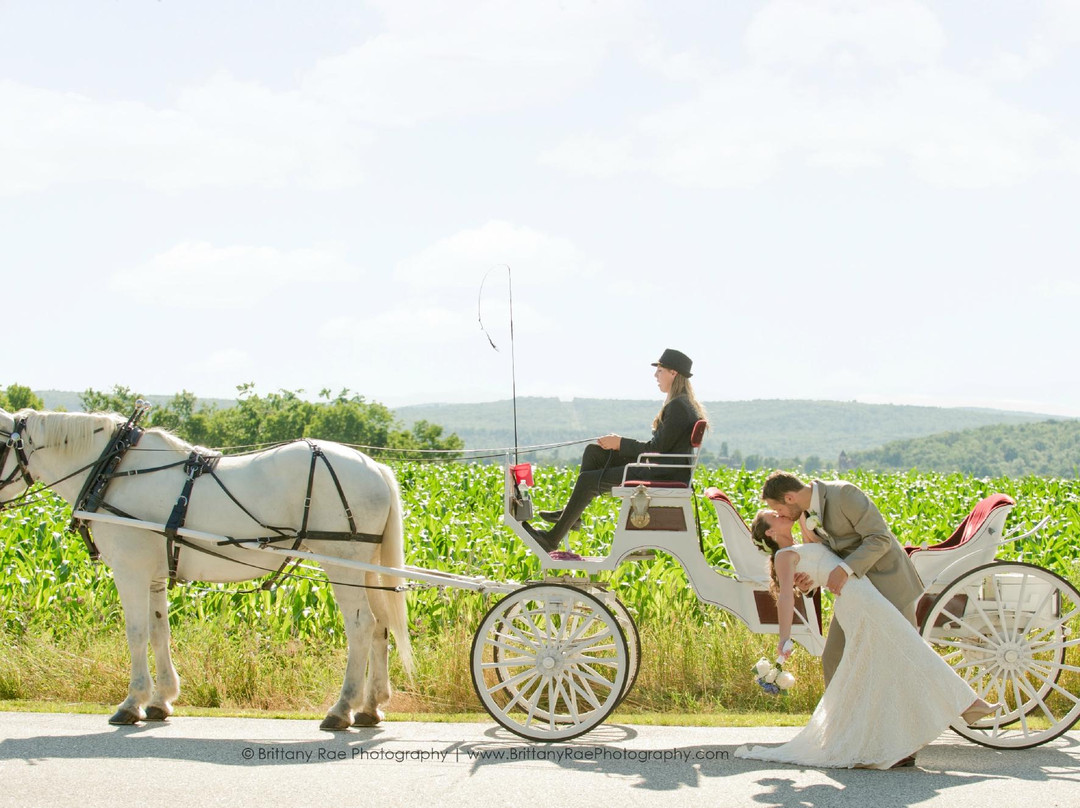 Carousel Horse Farm-Casco必去景点