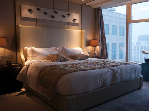 天津中心唐拉雅秀酒店主图