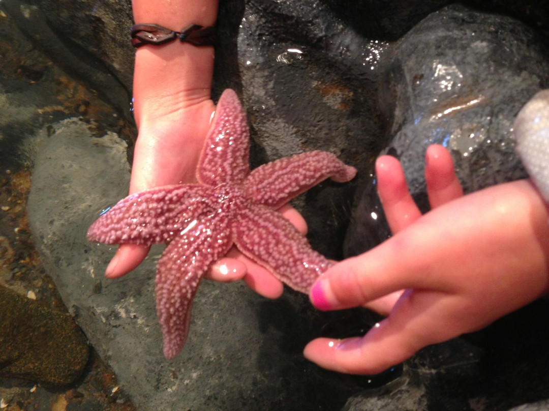 George B. Dorr Museum of Natural History-巴港必去景点