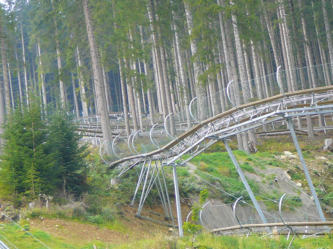 Sommerrodelbahn Rittisberg Coaster