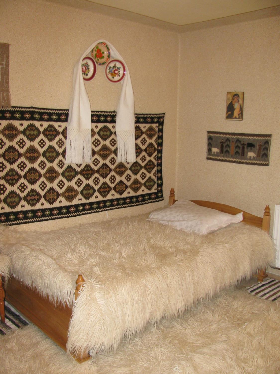 Pensiunea Lia Barsana-客卧