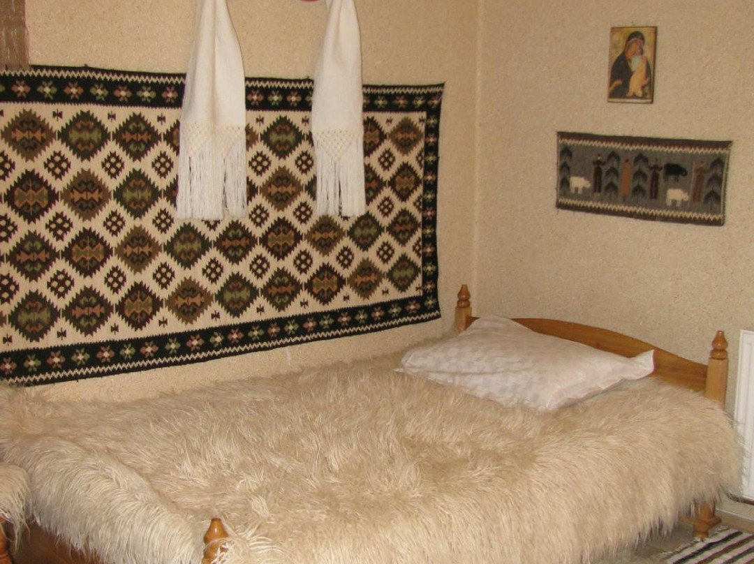 Pensiunea Lia Barsana主图