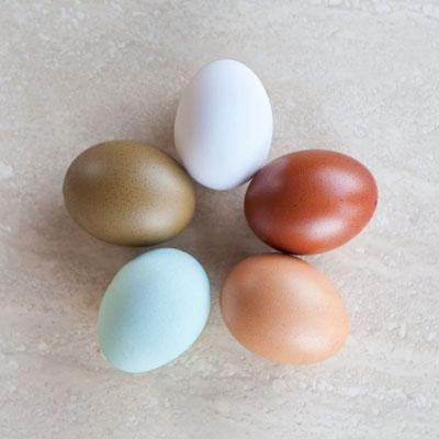 Suvereto酒店住宿-Agriturismo Poggio Diavolino