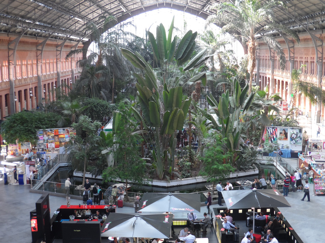 阿托查火车站-马德里必去景点