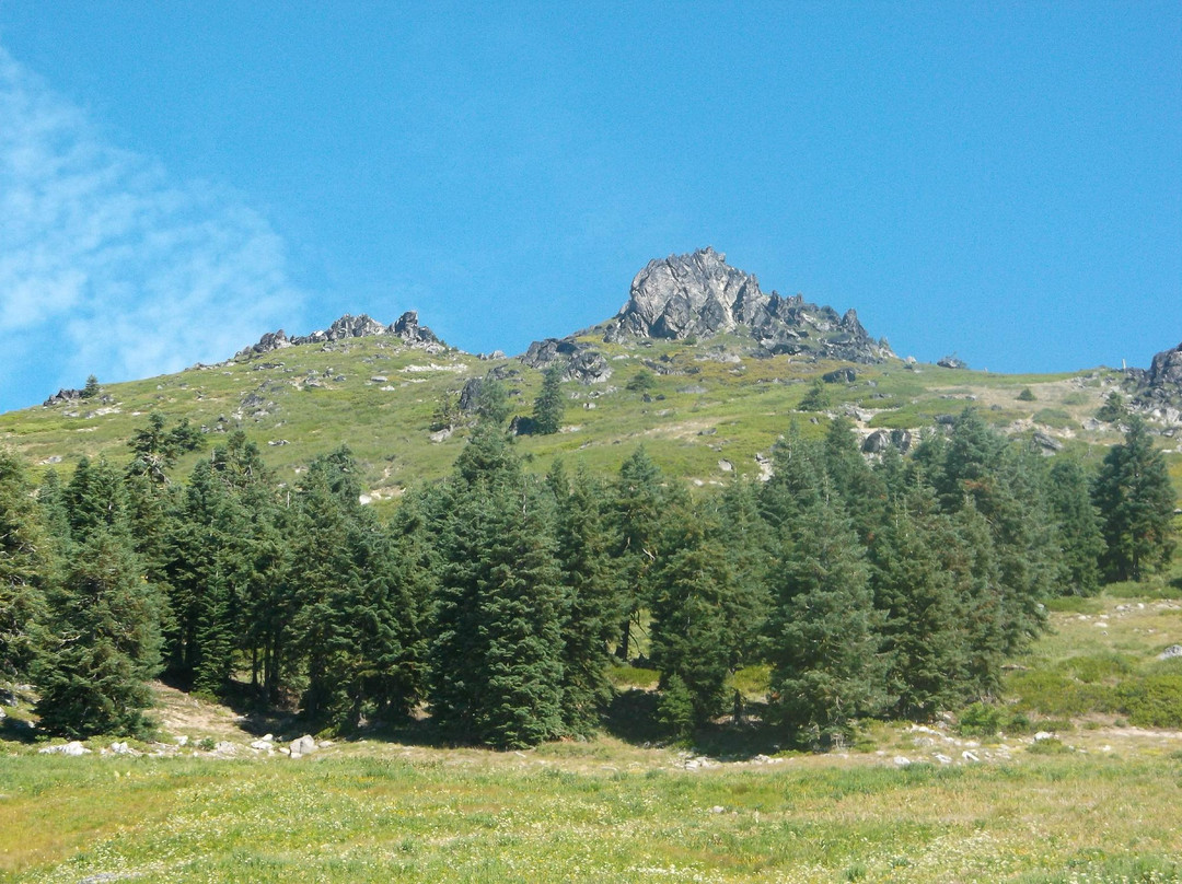 Mount Ashland-阿什兰必去景点