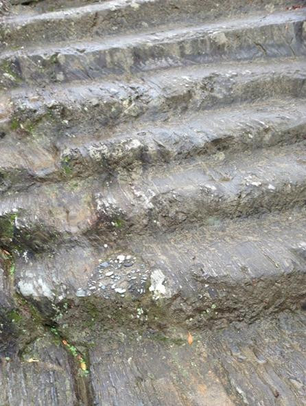 Jorakuji temple-德岛市必去景点