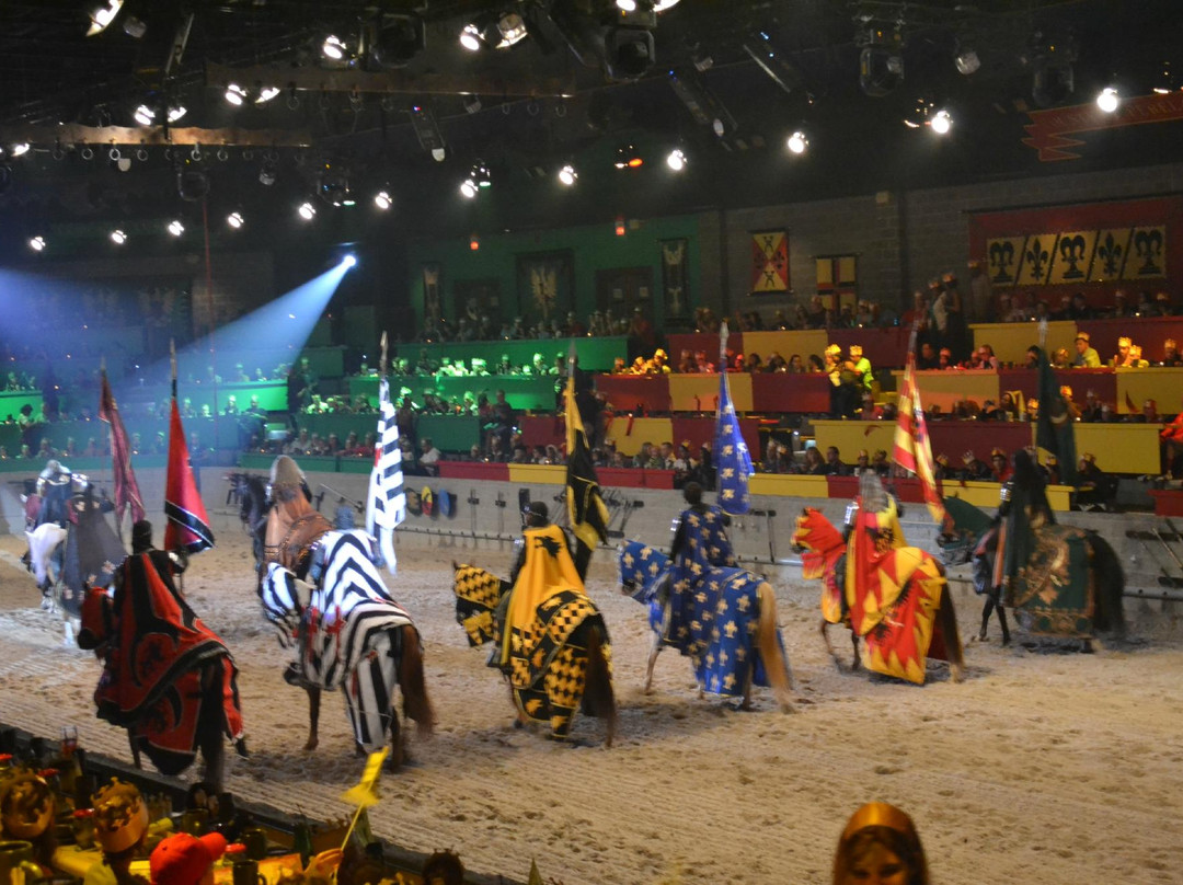 Medieval Times Dinner & Tournament-达拉斯必去景点